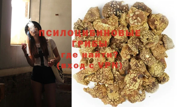 мдпв Белокуриха