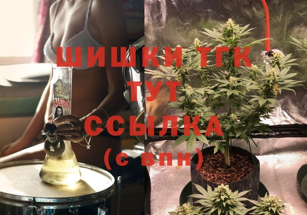 мдпв Белокуриха