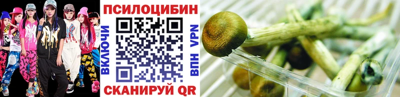 блэк спрут маркетплейс Кстово Галлюциногенные грибы ЛСД
