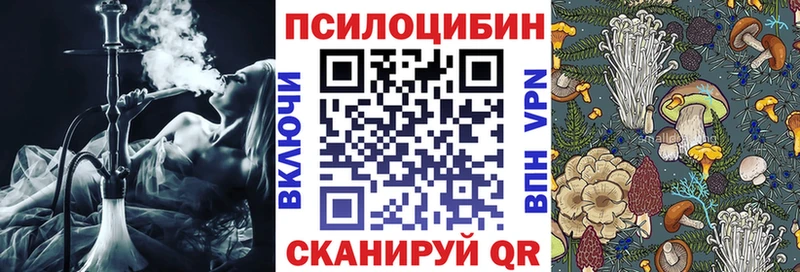 Галлюциногенные грибы Magic Shrooms Кстово